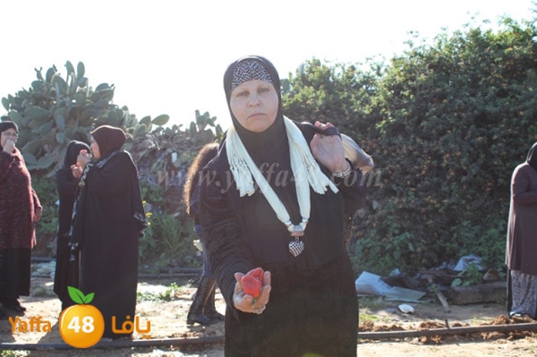 re7la tolkarem (68).JPG